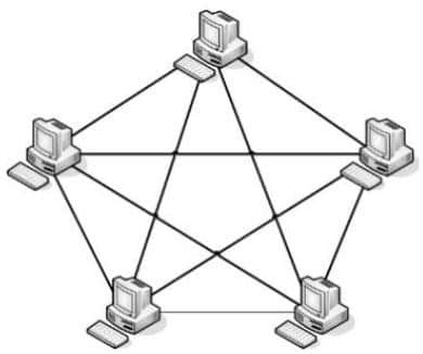 topologi mesh